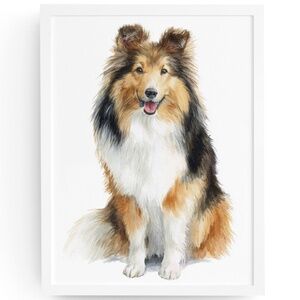 Watercolor Sheltie Dog Portrait Wall Art Print - Illustration Poster Unframed